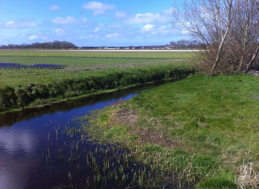 Strand49 Glamping Sint Maartenszee Sint Maartensvlotbrug Exteriér fotografie